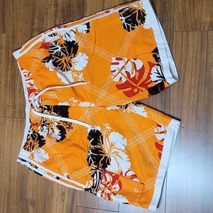 Men's 10,000 ft Bathing Suit/Trunks Size Large